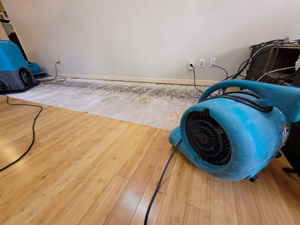 Professional Structural Drying technician working in Rocky Point, NC